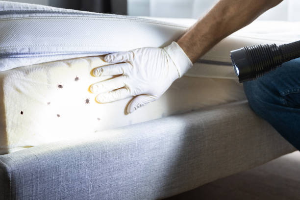 Reliable Mcclure, PA Pest Control Solutions